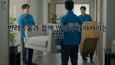 반려동물과 함께 안전하게 이사하는 방법