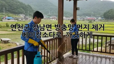 🏡 연천군 장남면 방충망 먼지 제거, 베이킹소다로 ✨ 깨끗하게!